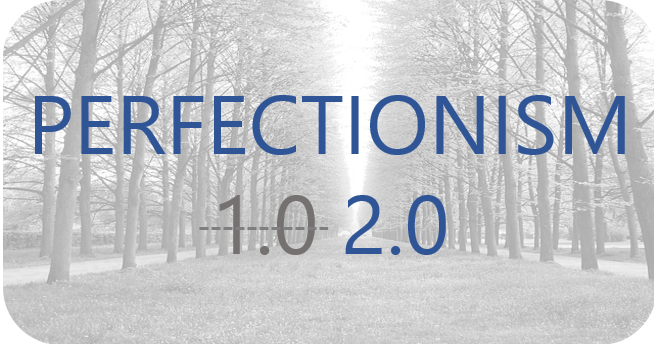 Perfectionism 2.0 Preview Picture